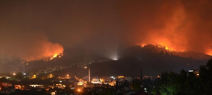 MUDANYA ORMAN YANGININDA SON DURUM