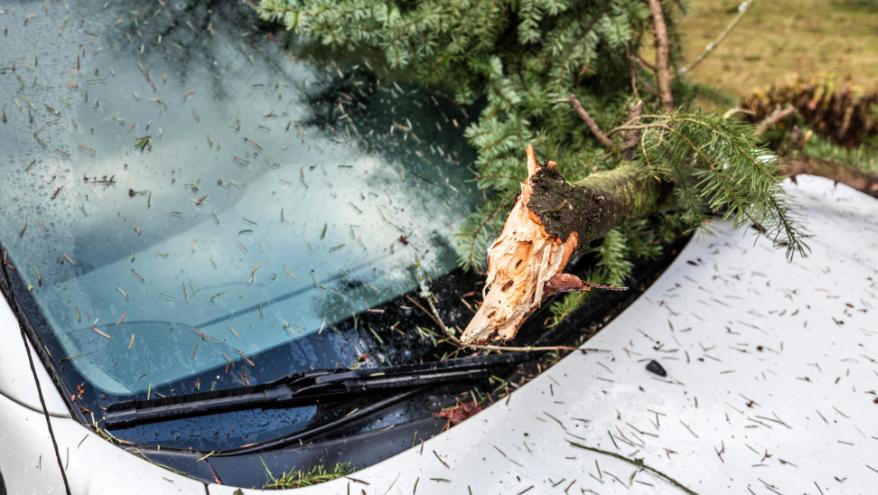 BURSA’DA ÇIKAN LODOS PARK HALİNDEKİ ARAÇLARDA HASARA YOL AÇTI