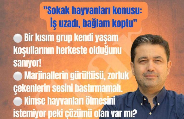 SOKAK HAYVANLARI KONUSU: İŞ UZADI, BAĞLAM KOPTU